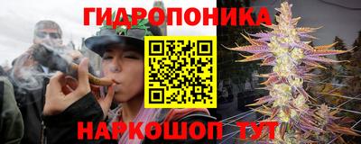 прущий лед Нальчик